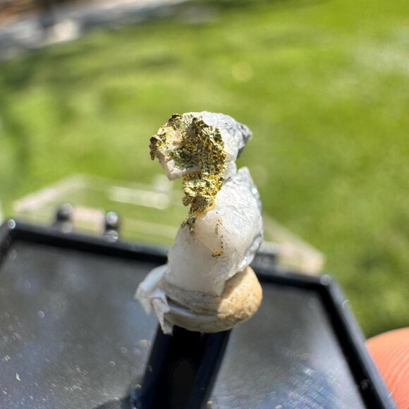 Gold on Quartz - Natural California Gold Specimen in Perky Display Box - #12 - Picture 3 of 9